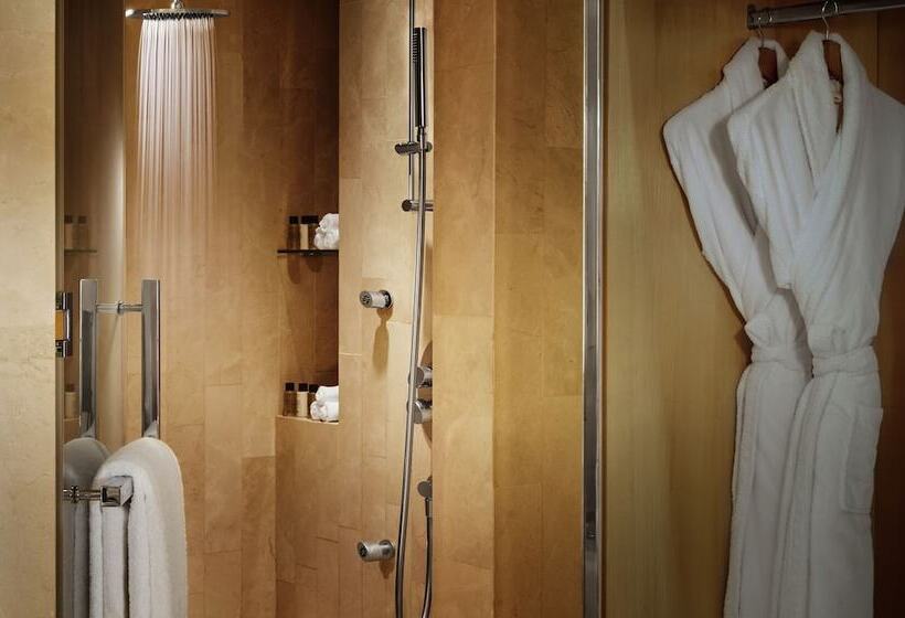 可观景的套房, The Meydan Hotel Dubai