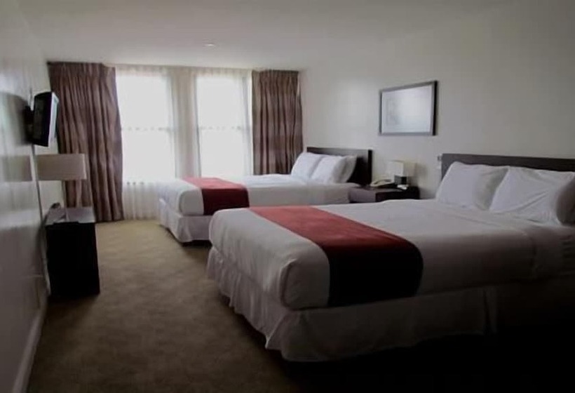 اتاق استاندارد با 2 تخت دوبل, The Hotel 91