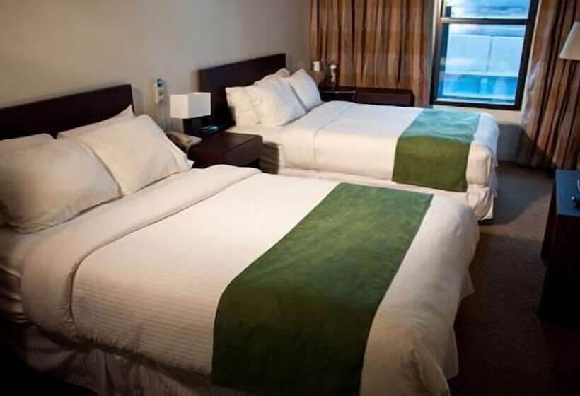 اتاق استاندارد با 2 تخت دوبل, The Hotel 91
