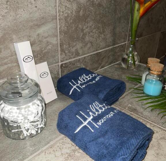 آپارتمان 1 خوابه با چشم‌انداز باغ, Hilltop Boutique
