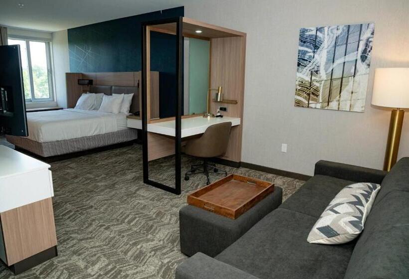 스위트 킹사이즈 침대, Springhill Suites By Marriott Woodbridge