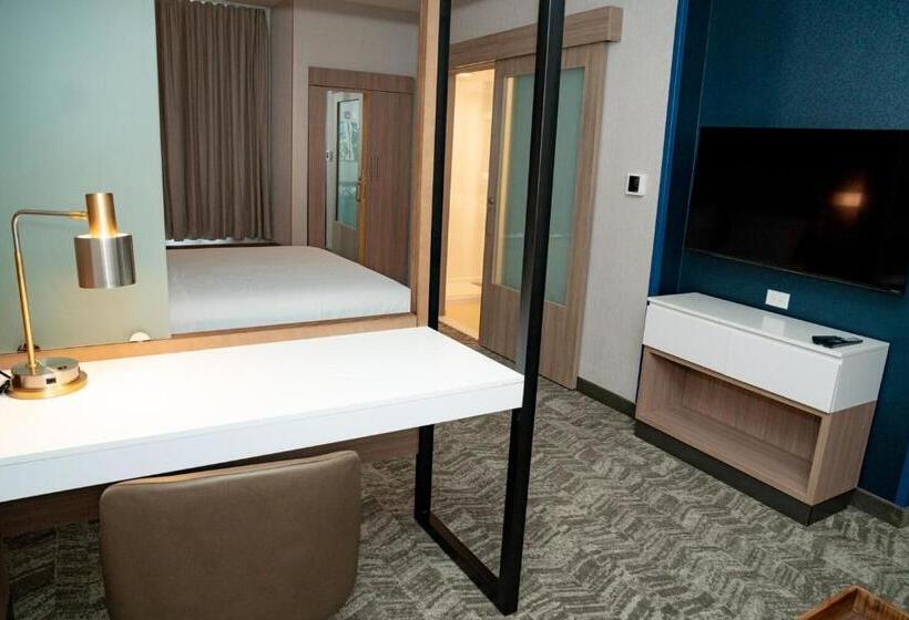 장애인을 위한 스위트, Springhill Suites By Marriott Woodbridge