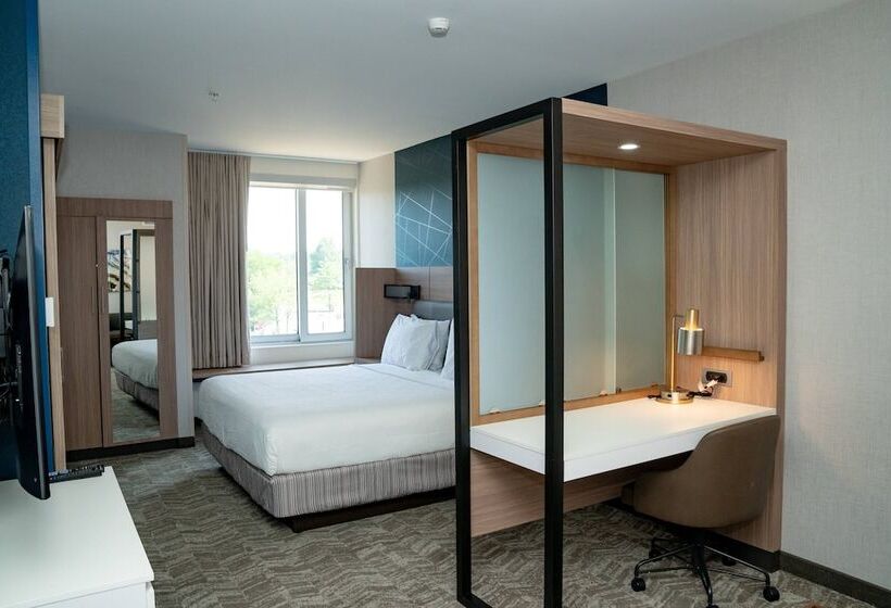 장애인을 위한 스위트, Springhill Suites By Marriott Woodbridge
