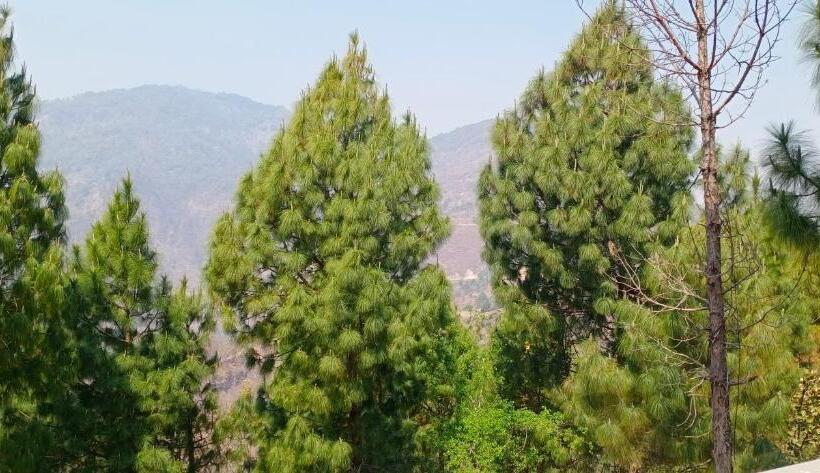 침실 1개 복층 룸, Blue Pine Orchards   Villas