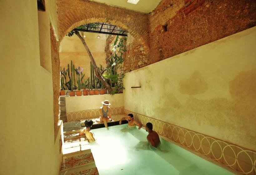 آپارتمان 1 خوابه با چشم‌انداز باغ, Fixie Lofts Slow Life Villa