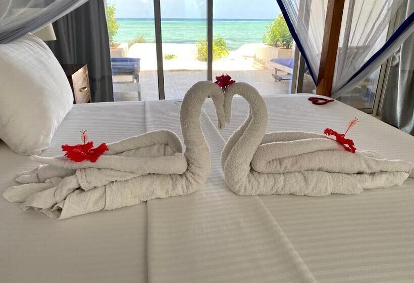 اتاق لوکس با چشم‌انداز دریا, Lala Land Lodge