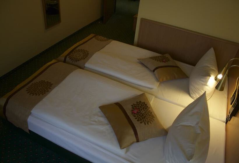 اتاق استاندارد, Acron Hotel Wittenberg