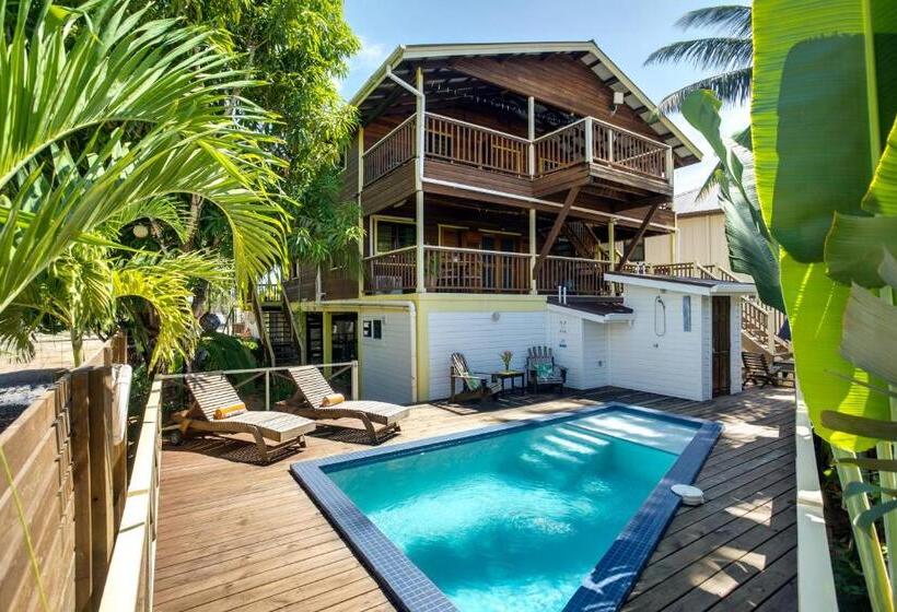 Студия Стандарт, Driftwood Gardens Guesthouse