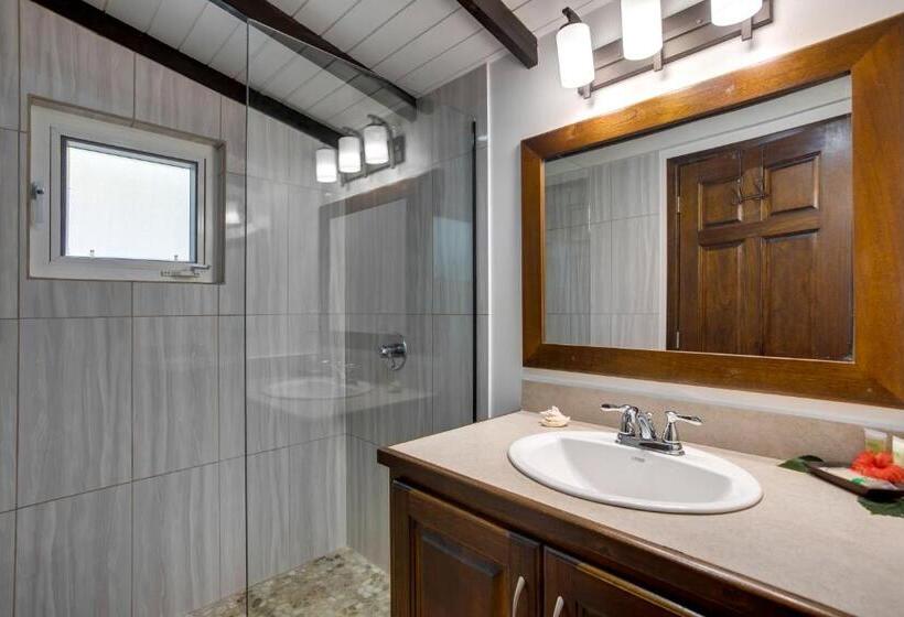 Студия Стандарт, Driftwood Gardens Guesthouse