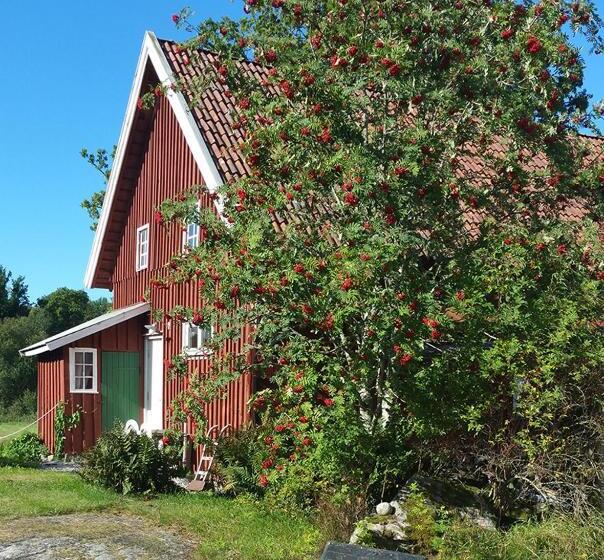 Номер Стандарт, Bitterna åkatorp