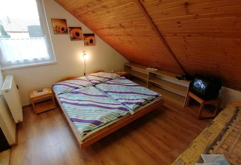 Номер Стандарт, Penzión Poľana