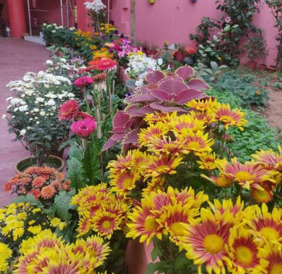 اتاق لوکس, Ratna Resort Near Bhubaneswar Airport