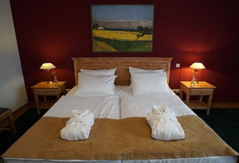 古典房间, Dreiklang Business & Spa Resort