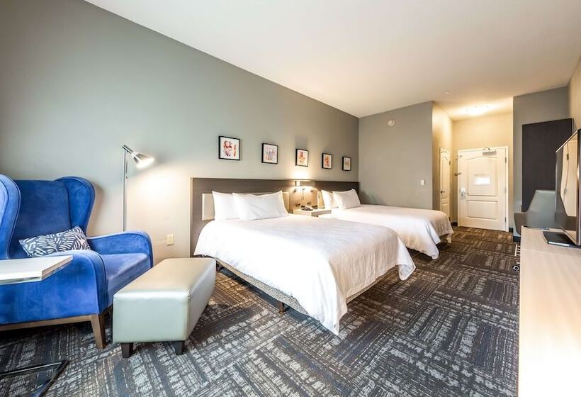 스탠다드 룸, Hilton Garden Inn Beaumont, Tx