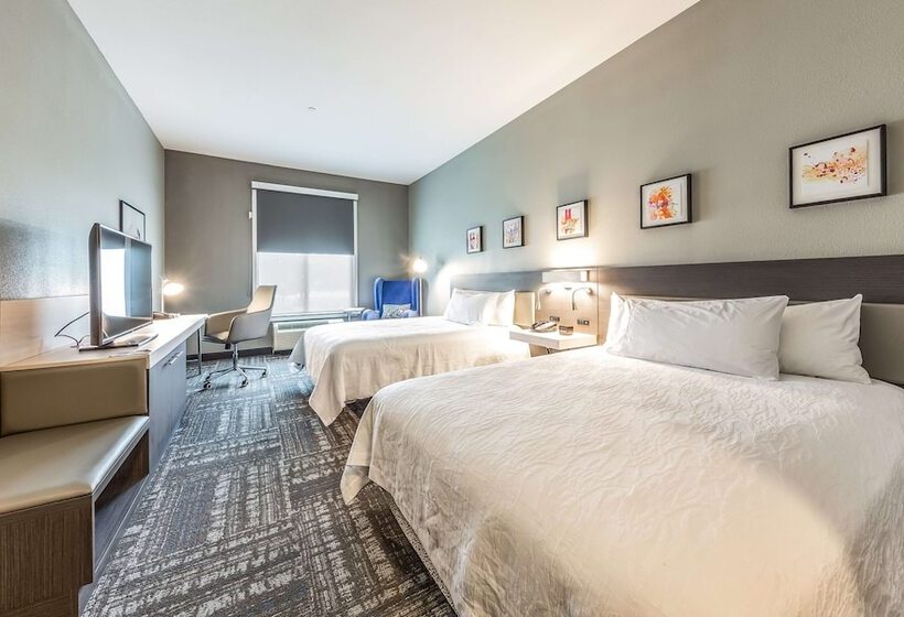장애인을 위한 스탠다드 룸, Hilton Garden Inn Beaumont, Tx