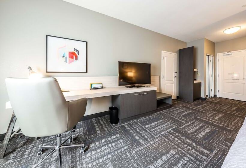 장애인을 위한 스탠다드 룸, Hilton Garden Inn Beaumont, Tx