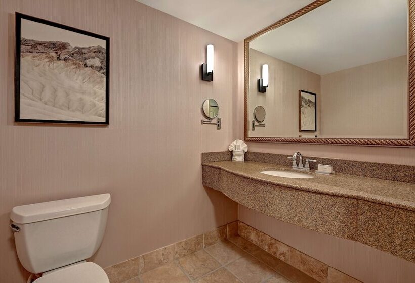 Люкс, Hilton Garden Inn Boise/eagle