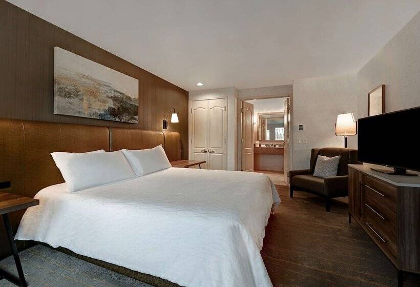 Люкс, Hilton Garden Inn Boise/eagle
