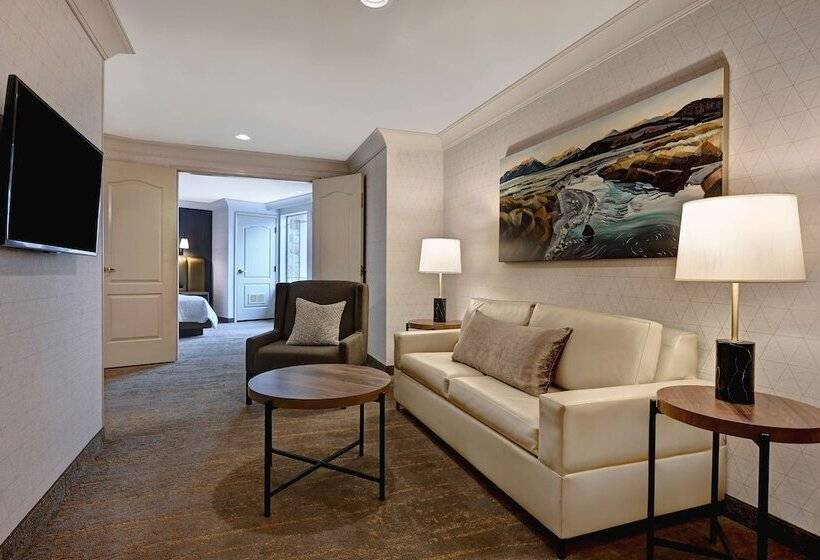 Люкс, Hilton Garden Inn Boise/eagle