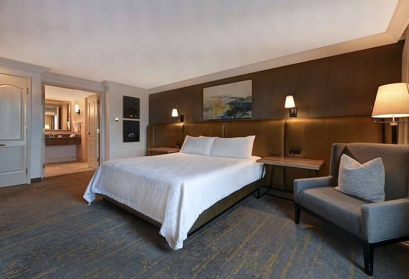 Люкс с гидромассажем, Hilton Garden Inn Boise/eagle