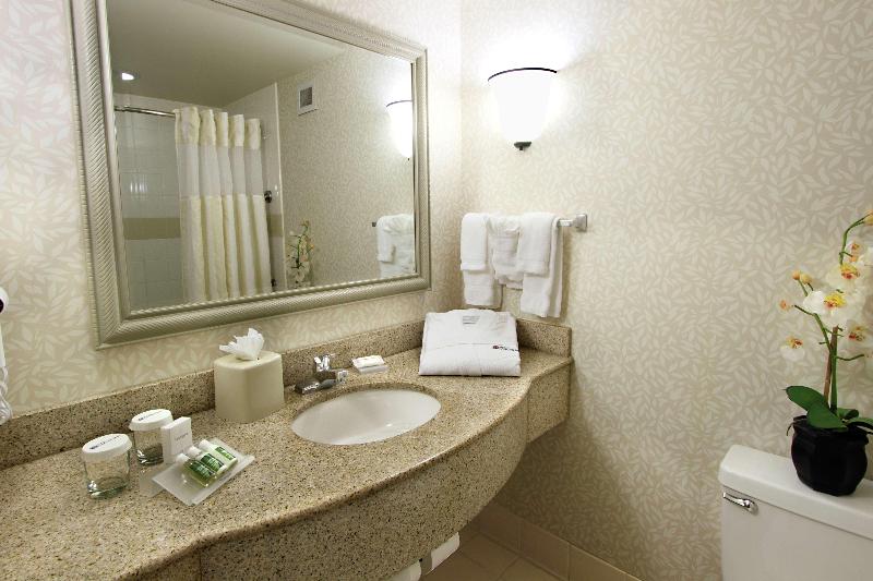 Стандартный Номер Кровать Кинг, Hilton Garden Inn Fort Lauderdale Airport Cruise Port