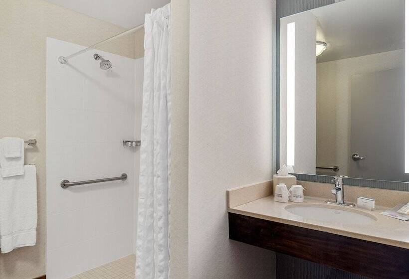 Люкс Адаптированный для Инвалидов, Hilton Garden Inn New Orleans French Quarter/cbd