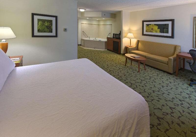 キングサイズベッドのスタンダードルーム, Hilton Garden Inn Tallahassee Central