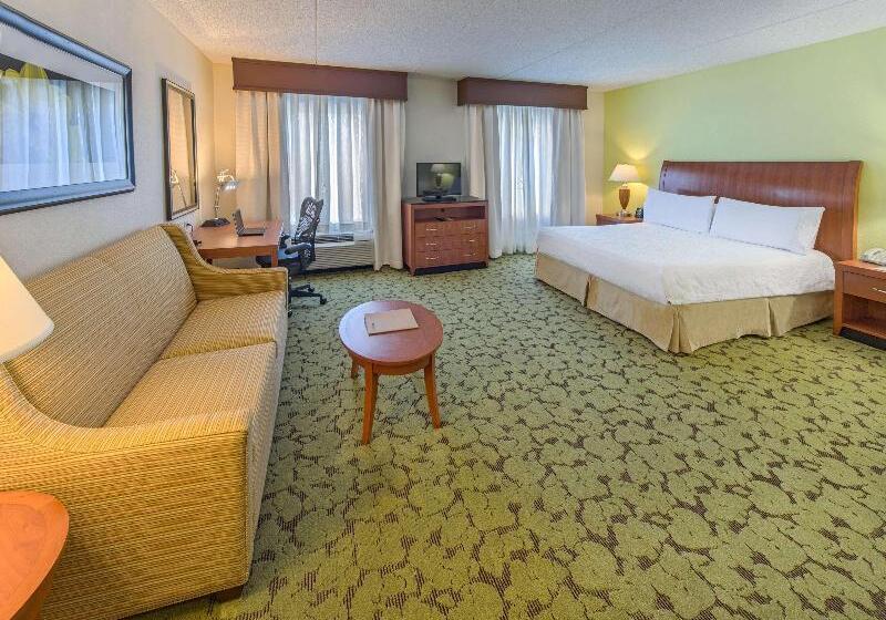キングサイズベッドのスタンダードルーム, Hilton Garden Inn Tallahassee Central