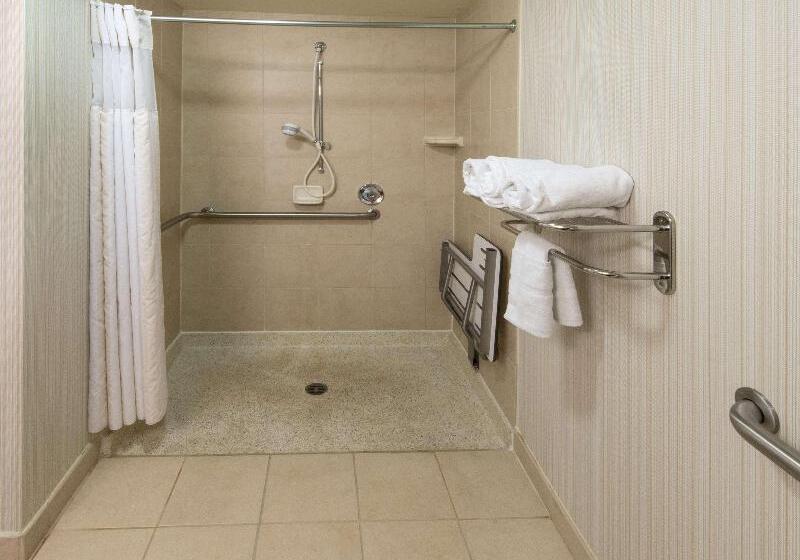 キングサイズベッドのスタンダードルーム, Hilton Garden Inn Tallahassee Central