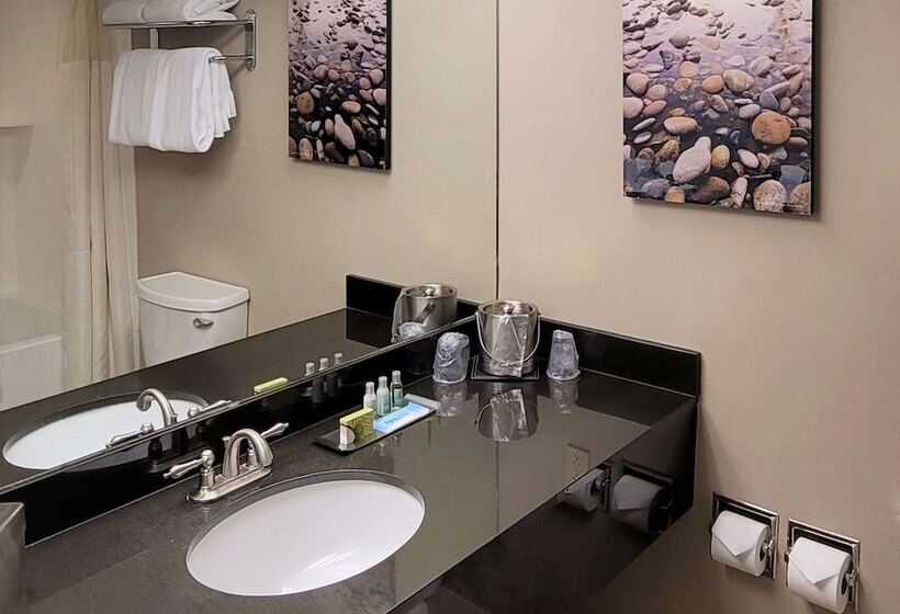 اتاق استاندارد با 2 تخت دوبل, Riverside Hotel, Bw Premier Collection