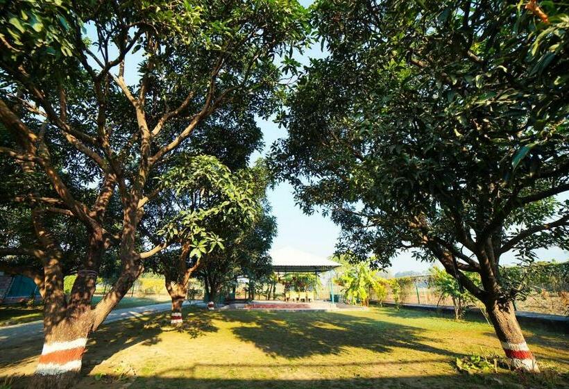 스탠다드 룸, Sukoon   A Wellness Resort, Uttarakhand