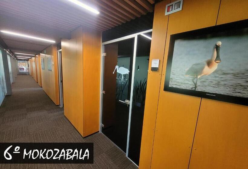 Номер Стандарт Адаптированный для Инвалидов, Urdaibai Bird Center