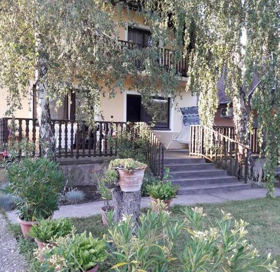 آپارتمان 1 خوابه, Toldi Apartman