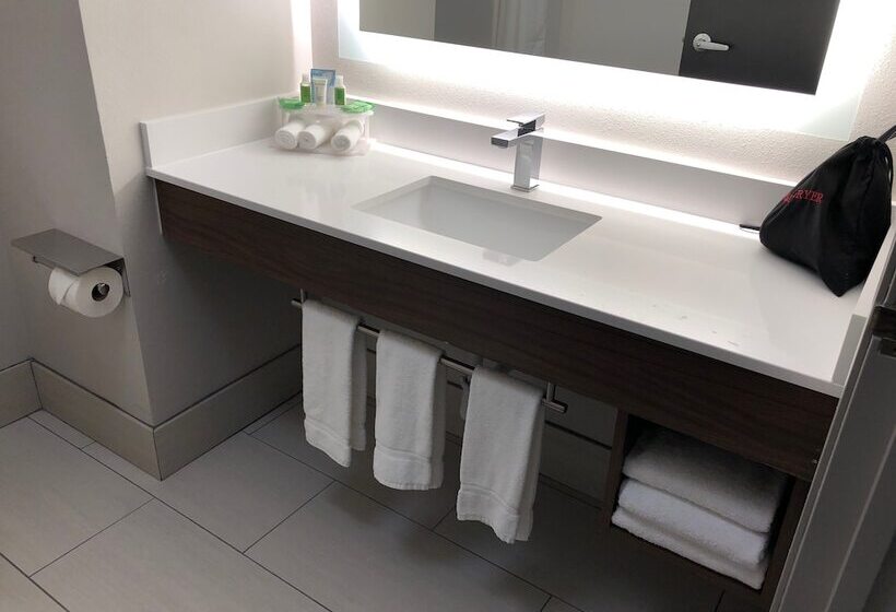 Люкс, Holiday Inn Express Hotel & Suites Auburn   University Area, An Ihg