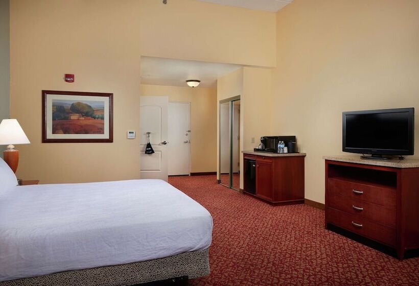 Номер Стандарт Кровать Кинг Адаптированный для Инвалидов, Hilton Garden Inn Newport News