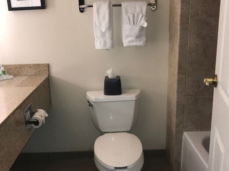 스탠다드 룸, Holiday Inn & Suites Ann Arbor Univ Michigan Area By Ihg