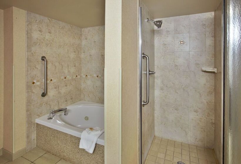 장애인을 위한 스위트, Holiday Inn & Suites Ann Arbor Univ Michigan Area By Ihg