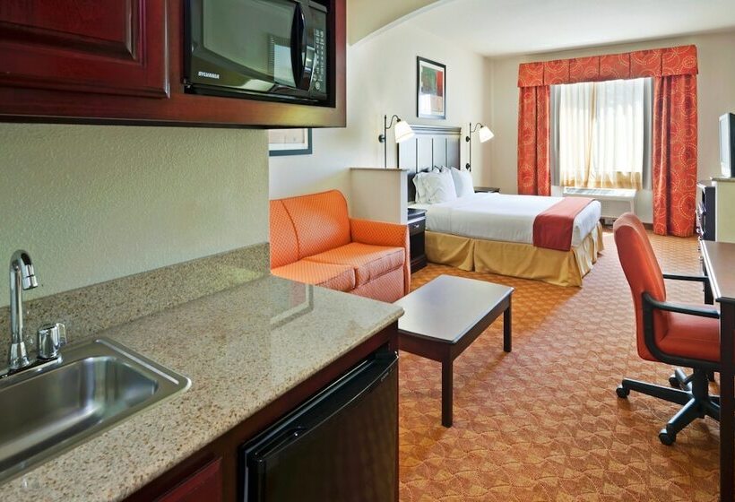 Süit, Holiday Inn Express Hotel And Suites Athens, An Ihg