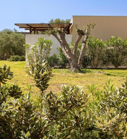 اتاق سوپریور, Agua Green Resort