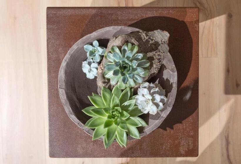 디럭스 스위트, Tulipa Natural Home
