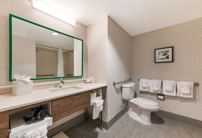 اتاق استاندارد, Hampton Inn & Suites Charlotteairport