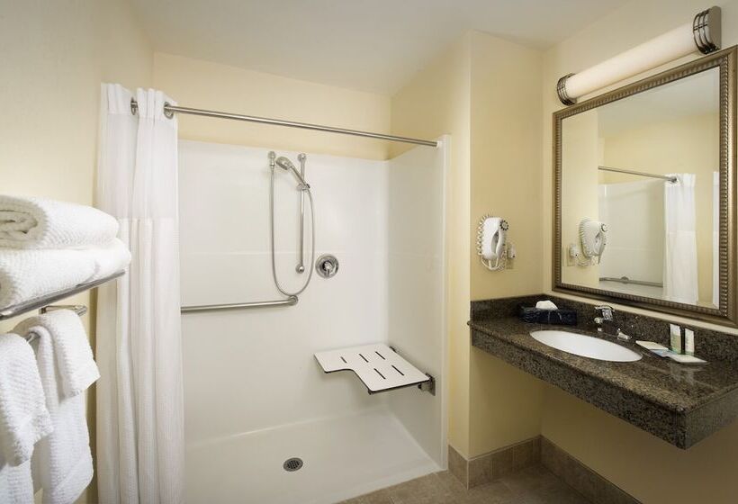 适合残疾人士使用的套间, Residence Inn By Marriott Bwi Airport