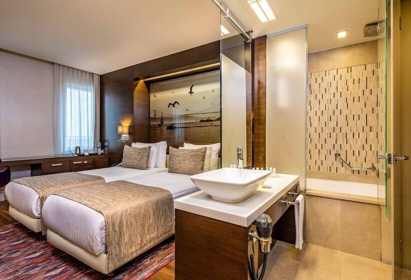 اتاق استاندارد, Levni Hotel & Spa Special Category