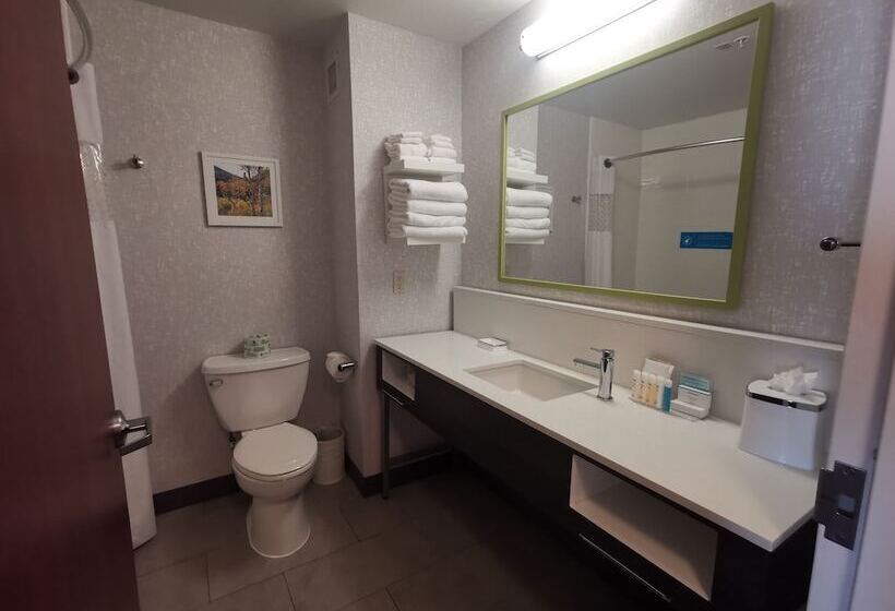 スタンダードスタジオ, Hampton Inn & Suites Colorado Springs/air Force Academy