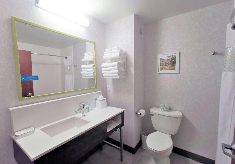 バルコニー付きスタンダードステューディオ, Hampton Inn & Suites Colorado Springs/air Force Academy