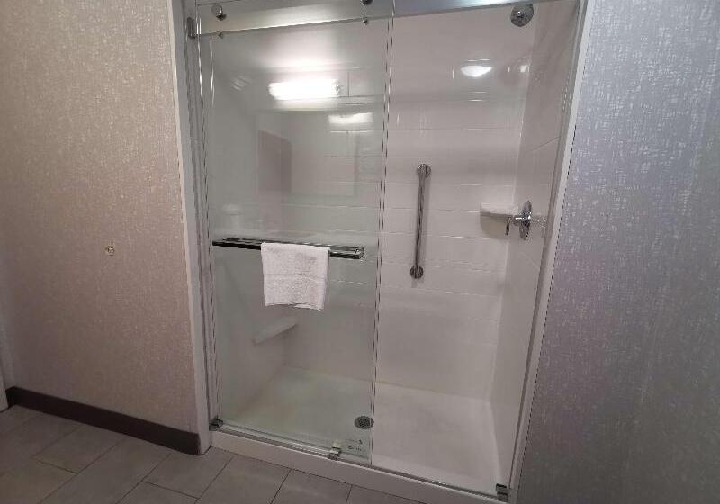 キングサイズベッドのスタンダードルーム, Hampton Inn & Suites Colorado Springs/air Force Academy