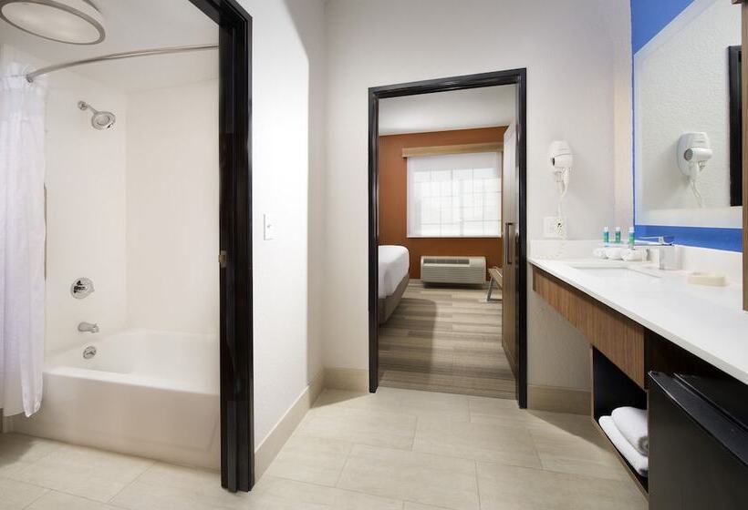 Mozgáskorlátozott Suite, Holiday Inn Express & Suites San Antonio   Downtown Market Area, An Ihg