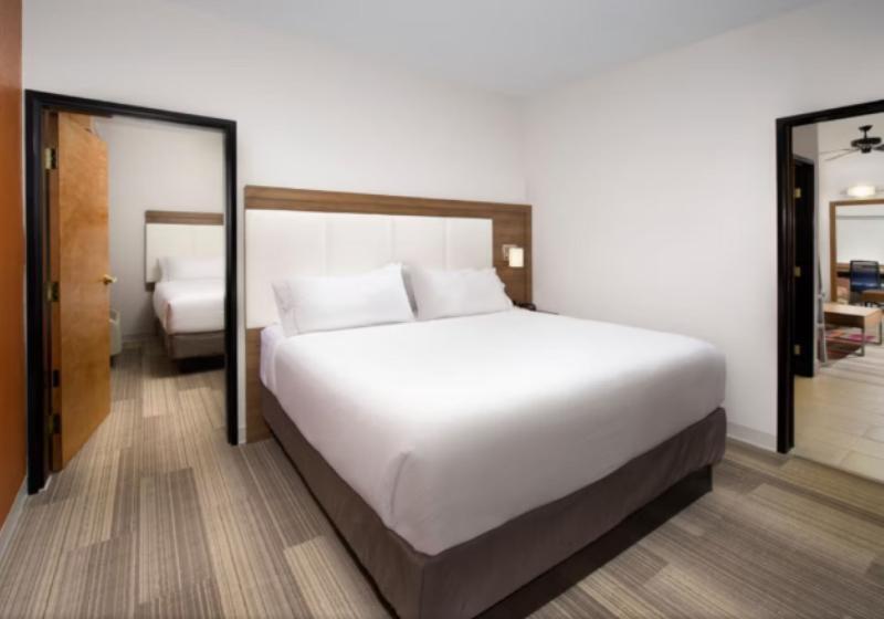 Mozgáskorlátozott Suite, Holiday Inn Express & Suites San Antonio   Downtown Market Area, An Ihg