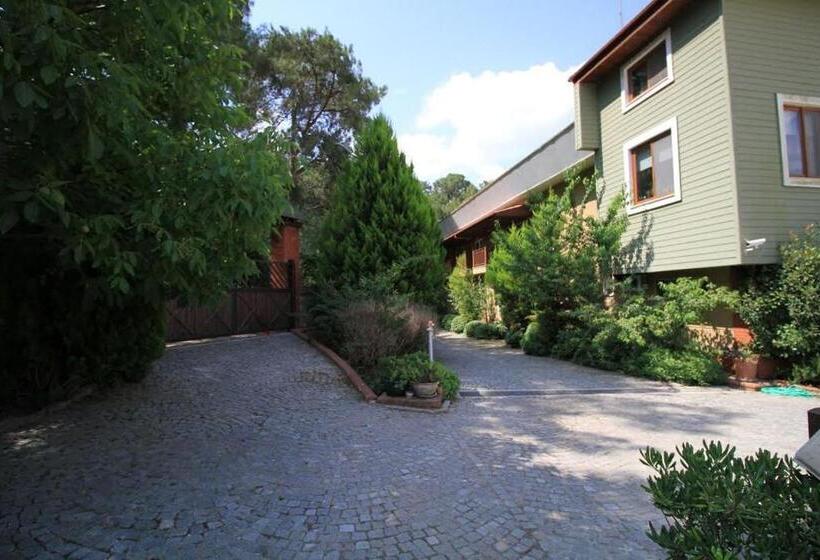 スイート, Padok Premium Hotel And Stables