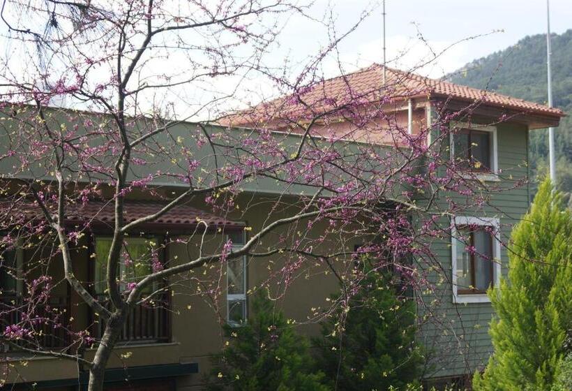 Люкс Дюплекс, Padok Premium Hotel And Stables